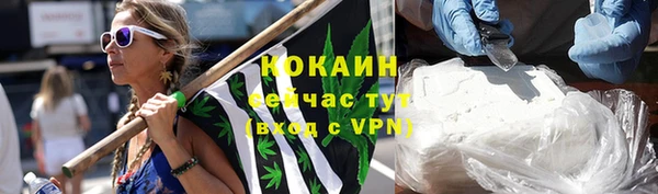 гашик Арсеньев