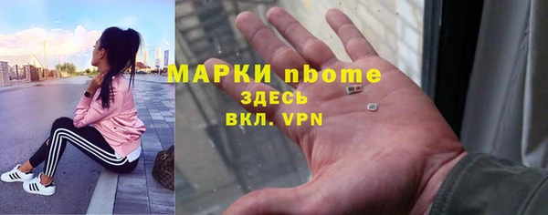 гашик Арсеньев