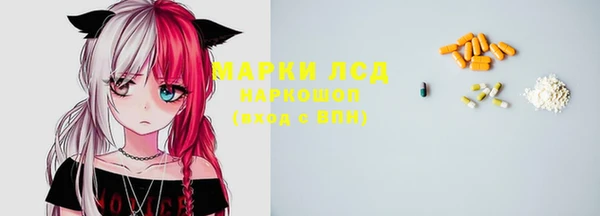 гашик Арсеньев