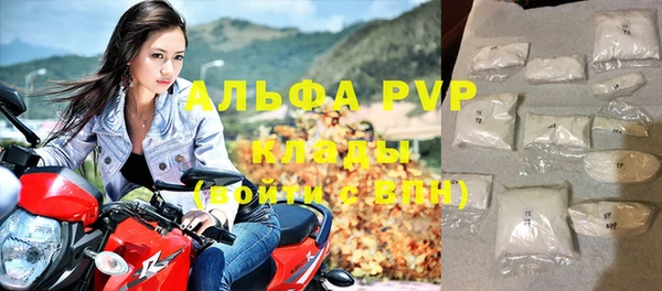 гашик Арсеньев