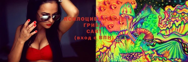 крисы Армянск