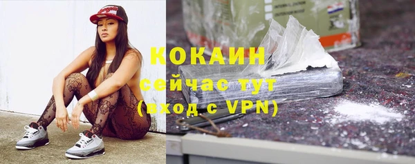 крисы Армянск