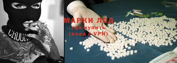 гашик Арсеньев