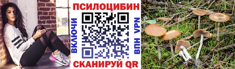 наркотики  Первомайск  Псилоцибиновые грибы Magic Shrooms 